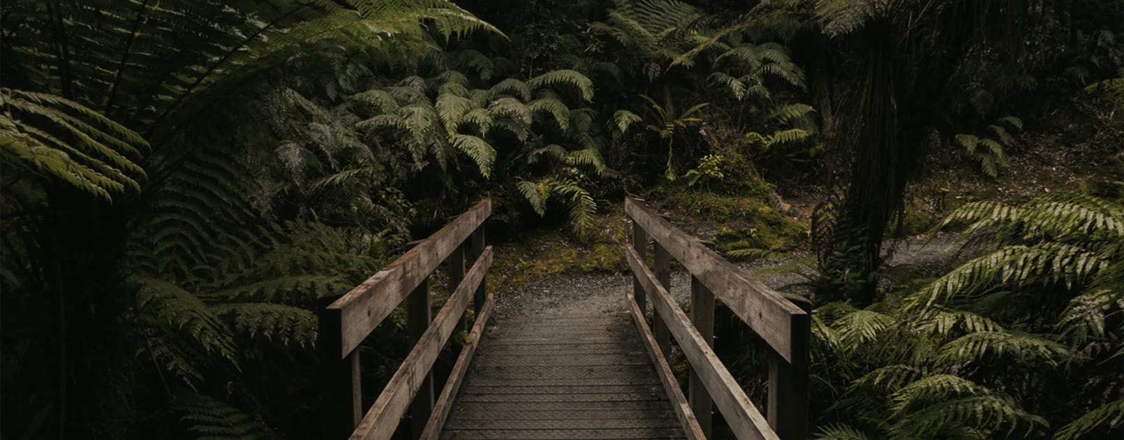 Hokitika Gorge walkway